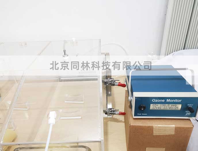 大氣模擬臭氧實驗方案